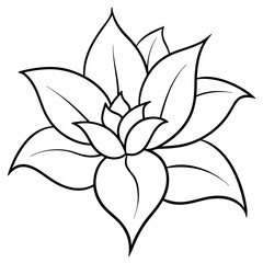 A flower silhouette vector line art illustration