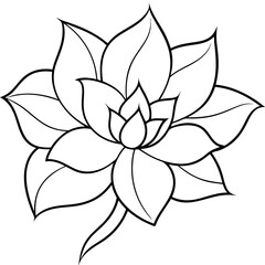 A flower silhouette vector line art illustration