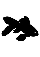 Gold Fish Black | Marine Life | Tropical Fish | Fishing Outdoor | Aquatic Pets | Wild Animal | Sea Angling | Aquatic Animal | Original Illustration | Vector and Clipart | Cutfile and Stencil