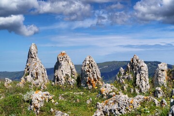 View of rocks in Gargano National Park, Italy, Europe.