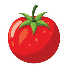 Illustration of  fresh tomato Isolated