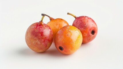 Fototapeta premium Decaisnea fruit on white background , 