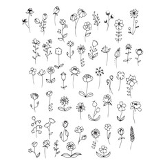 set of floral elements
