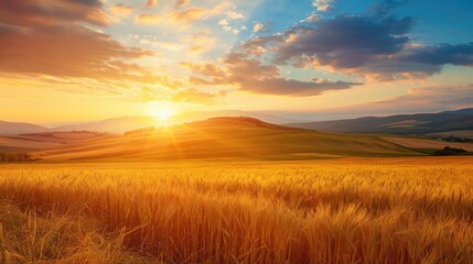Obraz premium Photorealistic Summer Sunset over Wheat Field | Summer Background | Photorealistic