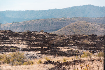 Santiago’s Phoenix: Rising from the Ashes. Resilience Amidst Ruins: Santiago’s Landscape Transforms