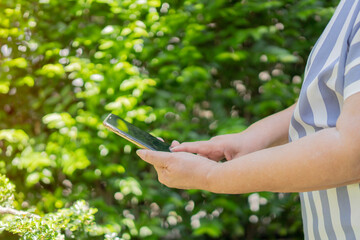 Side view shot of old woman hand using smartphone take photo  a tree in the garden.
