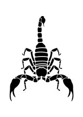 Scorpion | Deadly Venom | Stinger | Venomous | Exotic Animal | Wild Animal | Dessert Animal | Deadly Venom | Original Illustration | Vector and Clipart | Cutfile and Stencil