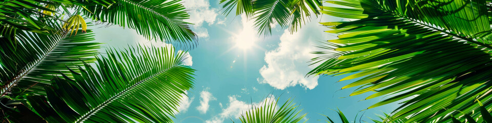 Obraz premium Sunlight Streaming Through Lush Green Palm Leaves Against a Blue Sky with Fluffy Clouds