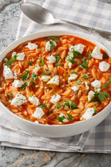 One-pot Greek orzo kritharaki with tomatoes and Feta cheese is a delicious weeknight dish and a comfort food in Greece closeup on the plate on the table. Vertical