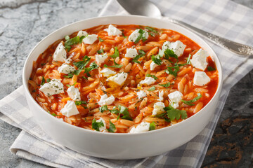 Delicious vegetarian food pasta kritharaki or orzo with spicy tomato sauce, cheese, garlic, onion, carrot closeup on the plate on the table. Horizontal