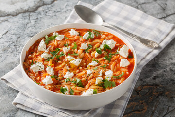 Comfort food pasta kritharaki or orzo with spicy tomato sauce, feta, garlic, onion, carrot closeup on the plate on the table. Horizontal