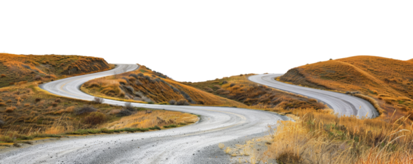 A scenic dirt path winds through lush green grass and bushes, evoking a sense of adventure and tranquility in nature.