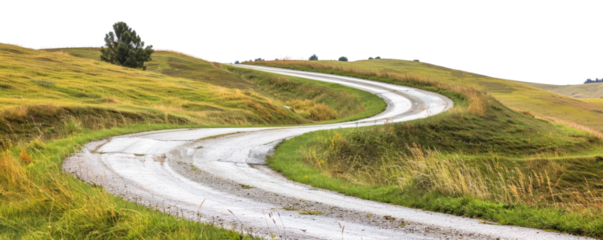 A scenic dirt path winds through lush green grass and bushes, evoking a sense of adventure and tranquility in nature.