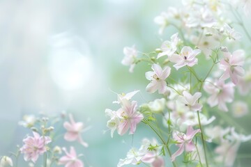 Ethereal white and pink flowers on subtle green backdrop