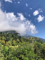 Naklejka premium Paisaje de bosque desde la colina con verdes pinos y árboles. Cielo lleno de nubes que atraviesan las montañas.