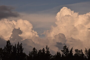 View of a dark cloudy sky over tree landscape
