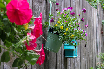 Colorful flowers in pots hanging on a wooden fence
