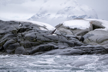 Antarctica mountains and sea. South Pole. Antarctica landscape.