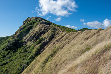 Female Hiker on Lanikai Pillbox hike, Kailua, HI, March 16, 2019