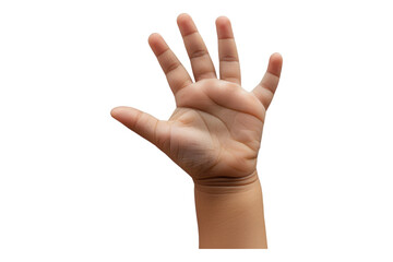 Child hand isolated on transparent background
