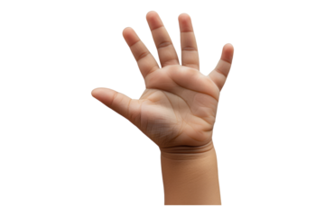 Child hand isolated on transparent background