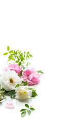 wooden light background with white and pink roses