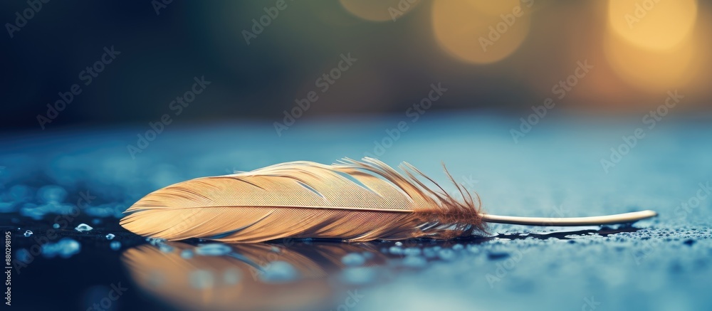 Aufkleber feather of a bird resting on the water, providing room for a caption within the image.