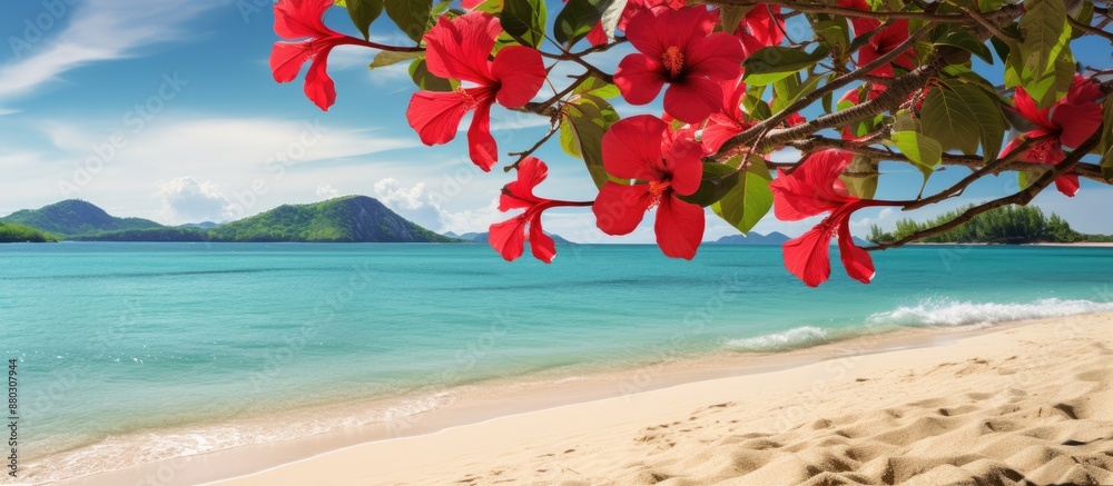 Aufkleber perfect scenery for a honeymoon with red hibiscus flowers and a stunning beach, creating an ideal ba