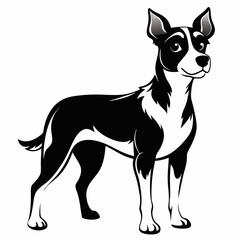 portrait of a black and white dog