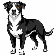portrait of a black and white dog
