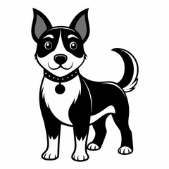 black and white puppy