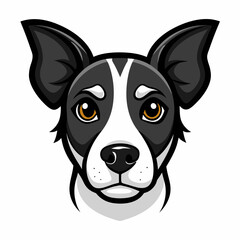 a black and white dog with a sad look