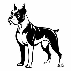 Cartoon Illustration of a Black and White Boxer Dog Standing