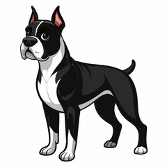Cartoon Illustration of a Black and White Boxer Dog Standing