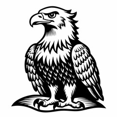 Monochrome Falcon Illustration - Black and White Vector Art