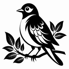 illustration of a black and white bird