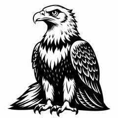 eagle on a white background
