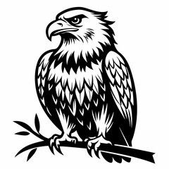 Fototapeta premium eagle on a branch vector