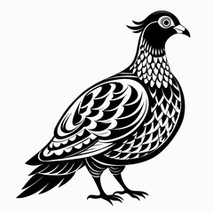 Ornate Black and White Bird Illustration on Branch