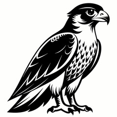 Monochrome Falcon Illustration - Black and White Vector Art