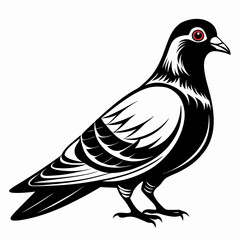 Fototapeta premium illustration of a pigeon black and white vactor