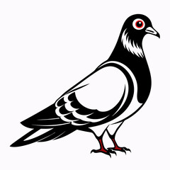 illustration of a pigeon black and white vactor