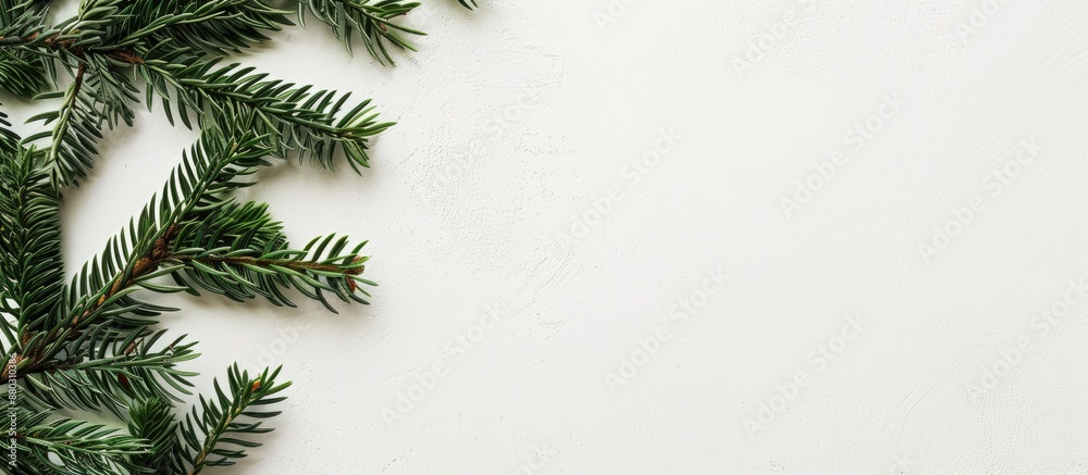 Leinwandbilder christmas tree branches on a blank business card create a new year celebration concept with a side v