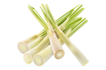 Lemongrass slice isolated on transparent background