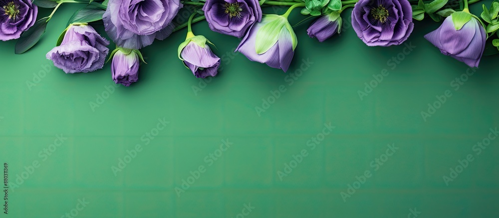 Poster Green background with a border frame of violet eustoma flowers surrounding copy space image.