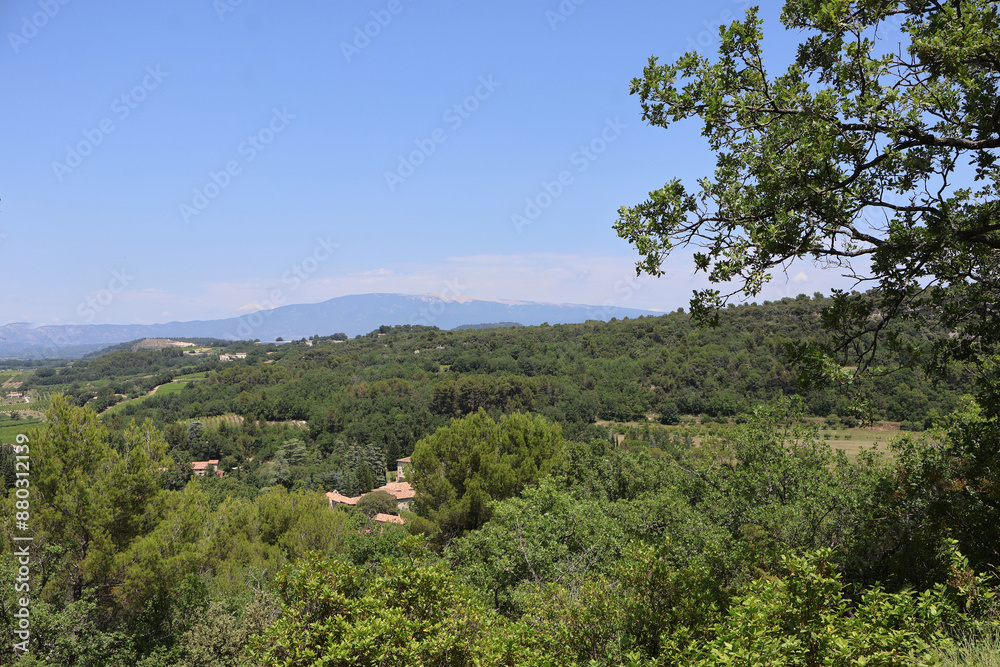 Canvas Prints paysage de provence