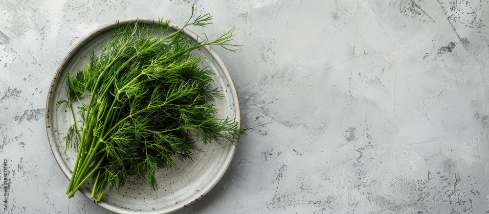 Poster top view of a plate with a bunch of fresh green dill on a light grey table with a space for text wit