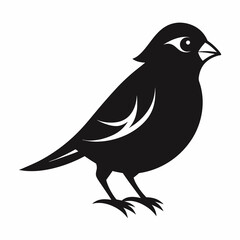 Sparrow silhouette vector icon illustration with a white background.