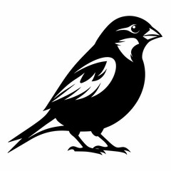 Sparrow silhouette vector icon illustration with a white background.