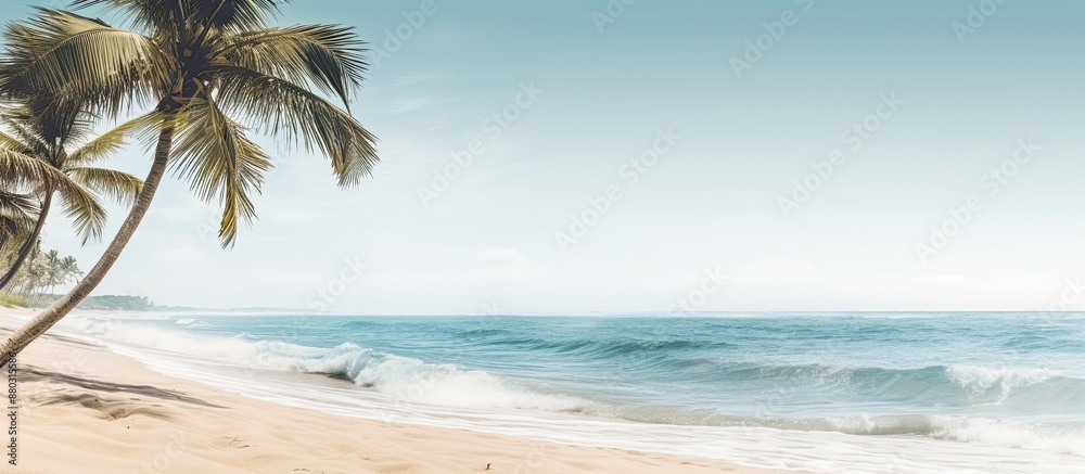 Aufkleber Aerial view of a sandy beach with palm trees and the ocean in the background, ideal for use in a design with copy space image.
